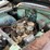 #109-•-1956-cadillac-de-ville-sedan-(title-in-delay)-(nitke-yard-mosinee,-wi)-image-41