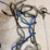 ms1---miscellaneous-horsetack-image-14
