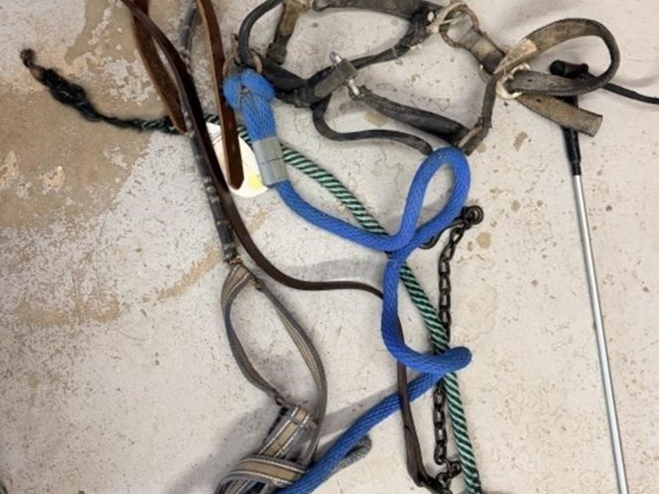 ms1---miscellaneous-horsetack-image-14