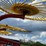 new-holland-pro-rake-image-24