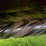 2016-new-holland-313-image-5