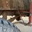 #148-•-1986-chevy-d30-m1108-military-truck-(has-wi-title)-(schofield,-wi)-image-22