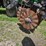 great-plains-solid-stand-1500-image-8
