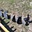 speeco-auger-image-4