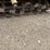l3---county-line-tiller-image-6