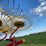 new-holland-pro-rake-image-15