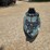 #24359-•-crescent-ck1-venture-kayak-image-15