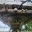 #23255-•-2006-40'-east-manufacturing-end-dump-trailer-image-32