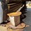 2021-vermeer-mc3300-image-10