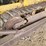 international-td20-image-8