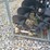 #24725-•-landhonor-auger-and-bits-skid-steer-attachment-image-6