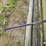 international-td20-image-33