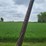 new-idea-253-pull-type-sickle-mower---nice-image-17