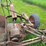 new-idea-253-pull-type-sickle-mower---nice-image-13