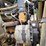 1999-kenworth-t800-image-50