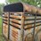 1990-s&h-tandem-axle-bumper-livestock-trailer-image-36
