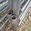 #23125-•-corral-panels-w/-gate-image-7