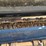 international-8840-swather-image-17