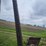 new-idea-253-pull-type-sickle-mower---nice-image-22