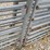 #23125-•-corral-panels-w/-gate-image-18
