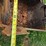 2022-liugong-excavator---only-318-hours-image-9