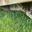 2008-load-max-gn-trailer-image-28