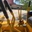 caterpillar-d4-image-28