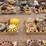 (7-pallets)-assorted-7-1/16”-to-11”-blind/lift-flanges-image-4