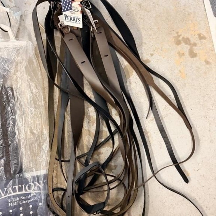 MS1 - Miscellaneous Horsetack