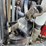 #24355-•-2004-mack-cv713-granite-dump-truck-image-56