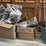 ms1---miscellaneous-horsetack-image-3