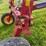 new-holland-pro-rake-image-35