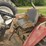 massey-ferguson-1440v-image-12