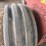 hesston-7500-image-21