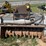 caterpillar-320-image-1