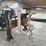 2012-brenner-8820-gallon-aluminum-tandem-axle-semi-tanker-trailer-image-31