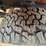 #24356-•-2006-chevrolet-silverado-pickup-truck-image-54