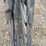 #23125-•-corral-panels-w/-gate-image-11