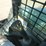 2019-bobcat-t740-image-12