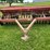 international-10-image-8