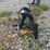 #24738-•-tree-puller-image-2