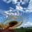 new-holland-pro-rake-image-11