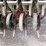 2006-hiniker-4836-image-13