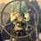 oliver-77-image-7