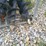 #24725-•-landhonor-auger-and-bits-skid-steer-attachment-image-5