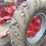 1937-international-farmall-f-20-tractor---nice-image-22