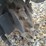 #24732-•-handy-skid-steer-stump-grinder-image-8