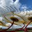 new-holland-pro-rake-image-17