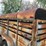 1990-s&h-tandem-axle-bumper-livestock-trailer-image-23