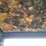 case-580c-image-61